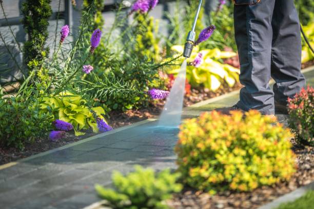 Best Parking Lot and Garage Cleaning  in Tuolumne City, CA